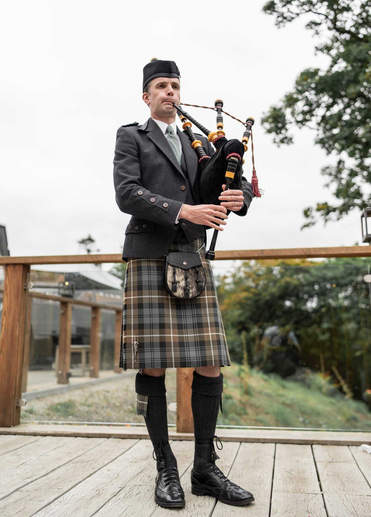 Piper, photo 1 of 8