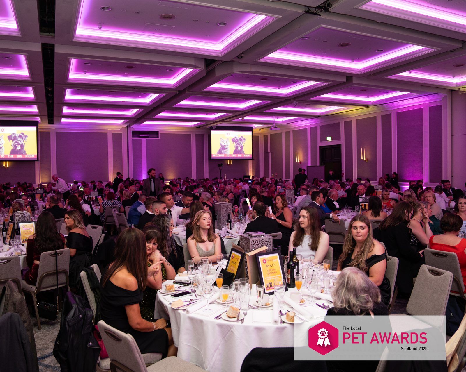 The Local Pet Awards, photo 21 of 39