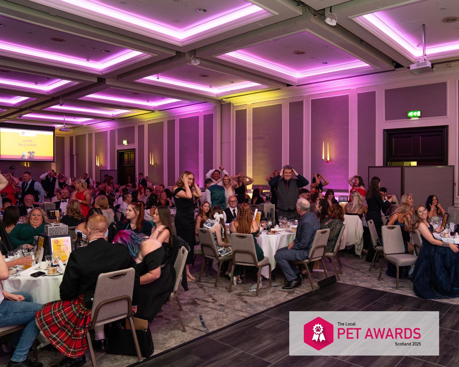 The Local Pet Awards, photo 24 of 39