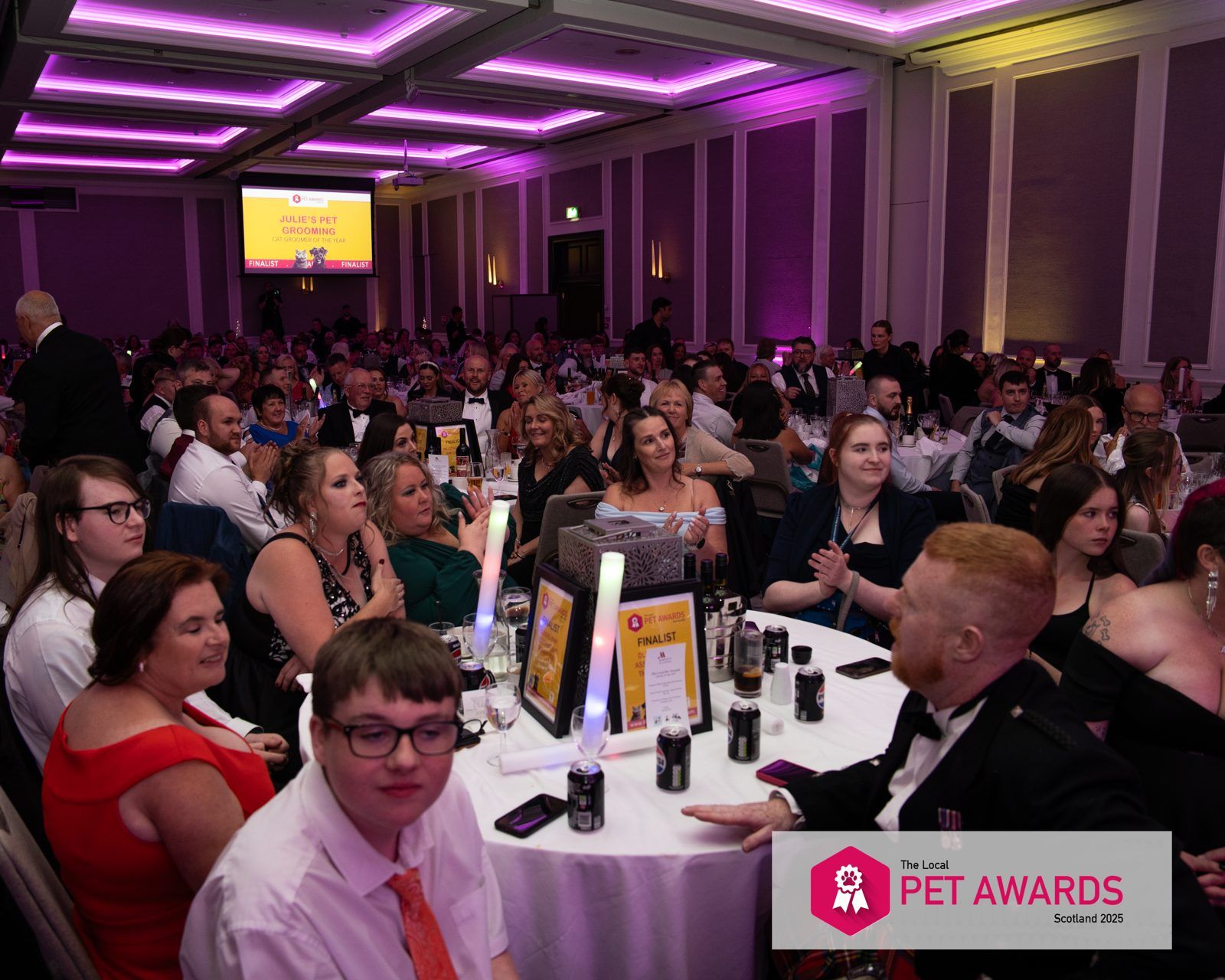 The Local Pet Awards, photo 30 of 39