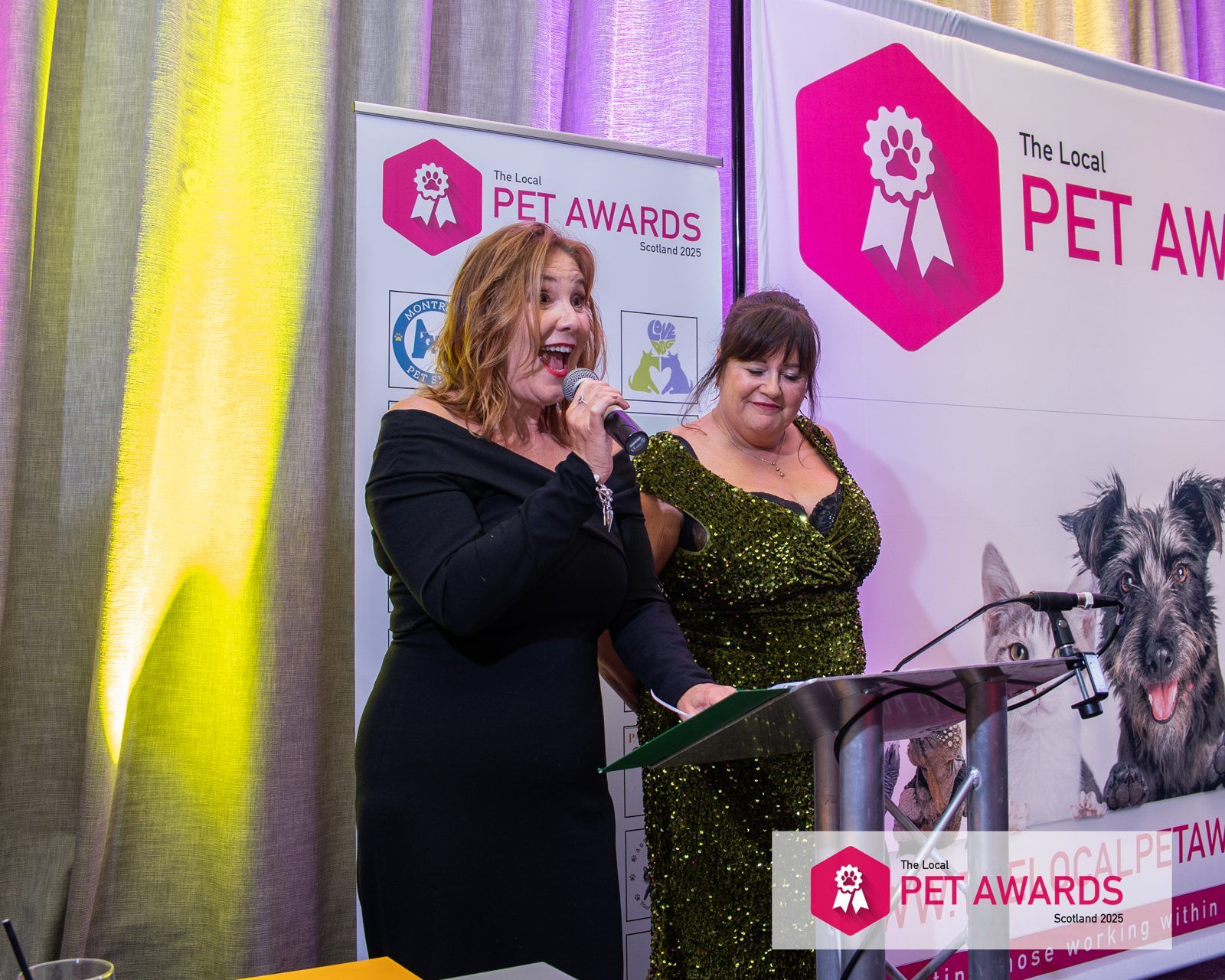 The Local Pet Awards, photo 33 of 39